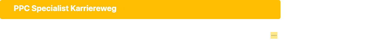Karrierestufen als PPC Specialist: Von Junior PPC Manager bis Head of Paid Search