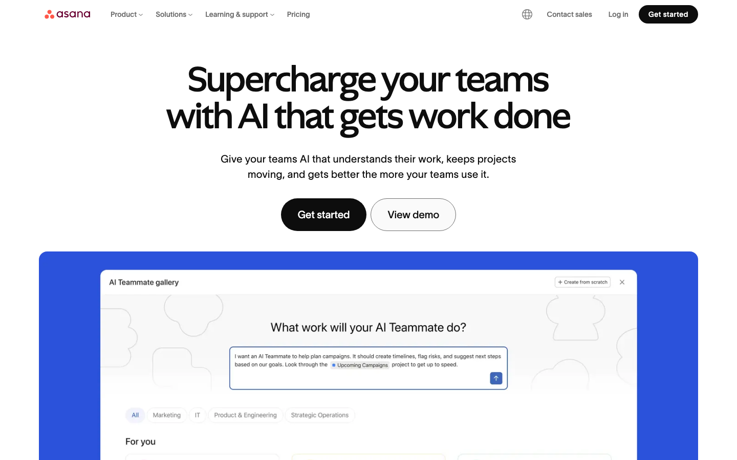 Asana Oberfläche – Screenshot der Startseite
