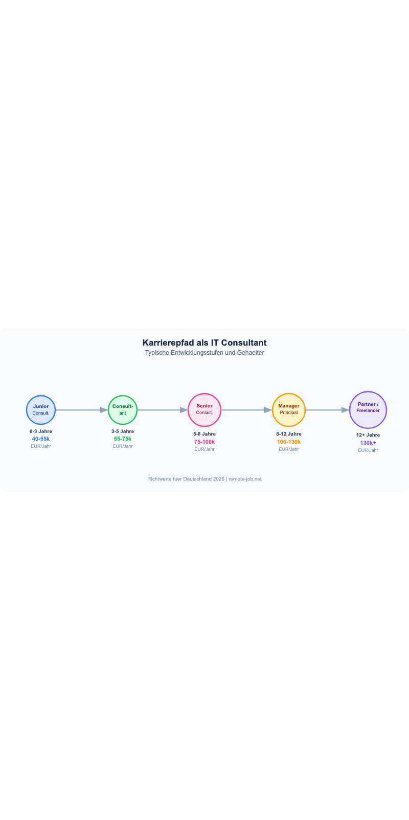 IT Consultant Karrierepfad: Von Junior zu Senior - Infografik